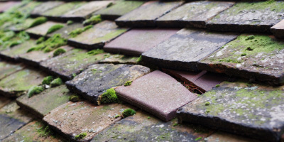 Neithrop roof repair costs